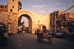 Mcc%20syria%20picture